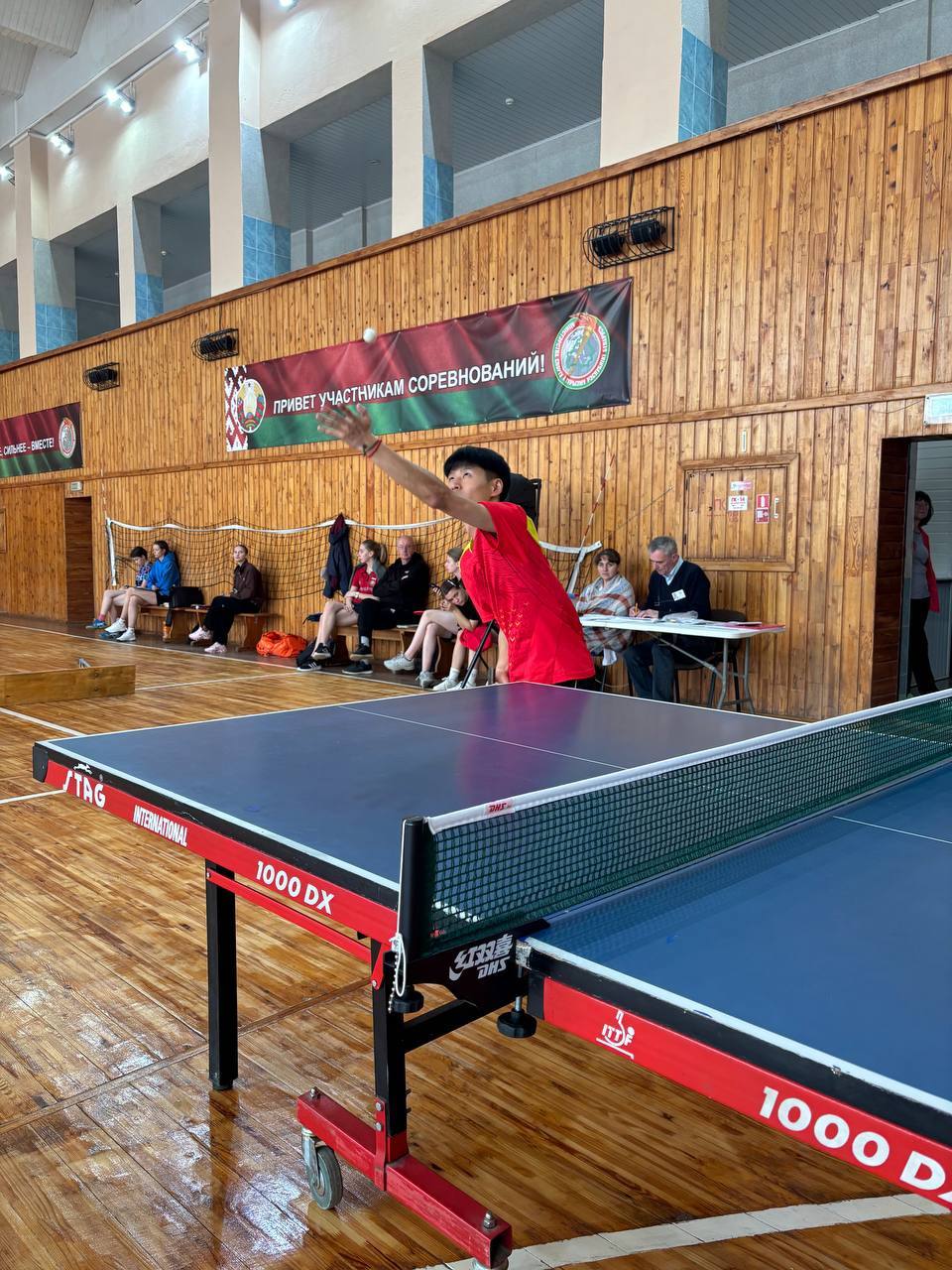 photo_5235962727996527012_y